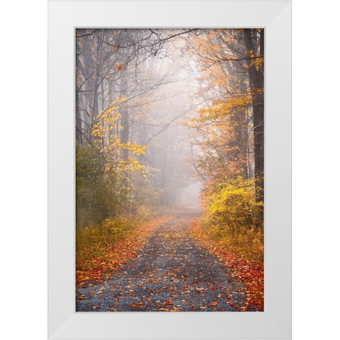 Road and Autumn Mist White Modern Wood Framed Art Print by Ryan, Brooke T.