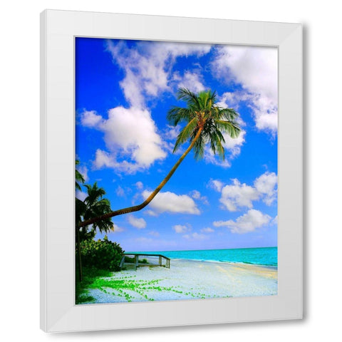 Sanibel Island White Modern Wood Framed Art Print by Reed, Jack