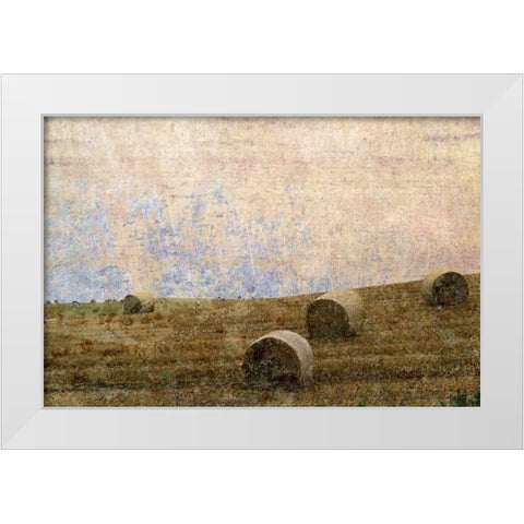 Dunnotar Fields White Modern Wood Framed Art Print by Ruest, Liz