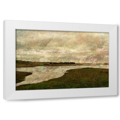 Forvie Reserve White Modern Wood Framed Art Print by Ruest, Liz
