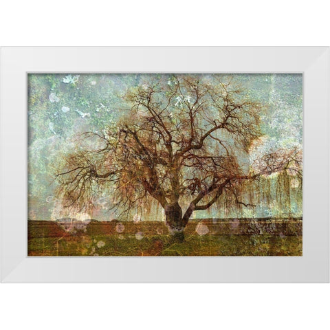 Roundabout White Modern Wood Framed Art Print by Ruest, Liz