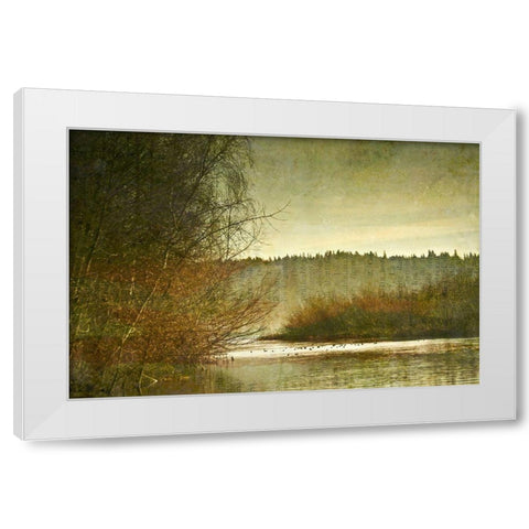 Marymoor Moment White Modern Wood Framed Art Print by Ruest, Liz