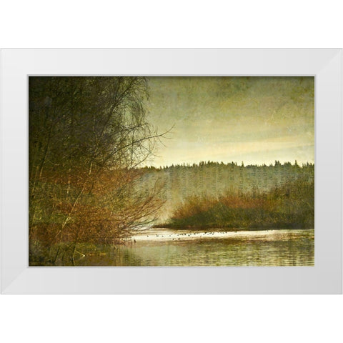 Marymoor Moment White Modern Wood Framed Art Print by Ruest, Liz