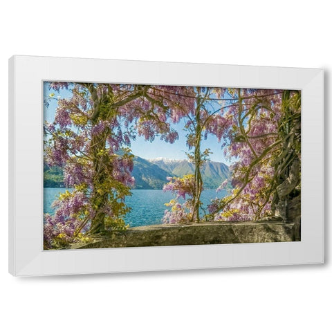 Wisteria and Mountains â€“ Lago di Como White Modern Wood Framed Art Print by Ryan, Brooke T.