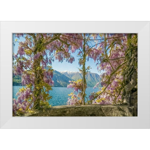 Wisteria and Mountains â€“ Lago di Como White Modern Wood Framed Art Print by Ryan, Brooke T.