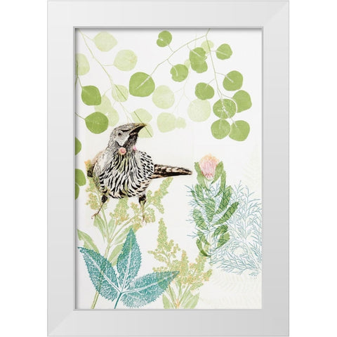 Wattlebird and Pincushion Protea White Modern Wood Framed Art Print by Rice, Trudy