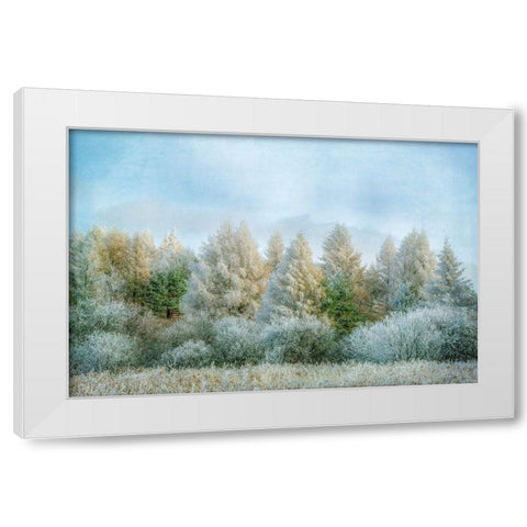 Winter Wonderland White Modern Wood Framed Art Print by Ryan, Brooke T.
