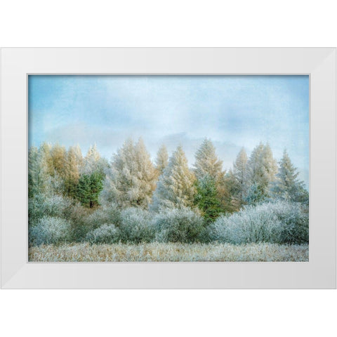 Winter Wonderland White Modern Wood Framed Art Print by Ryan, Brooke T.