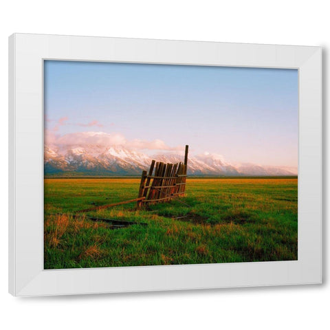 After Rain White Modern Wood Framed Art Print by Rapson, Sol