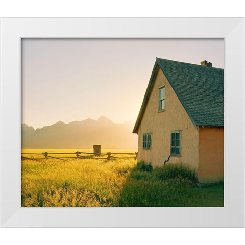 Golden Tetons White Modern Wood Framed Art Print by Rapson, Sol