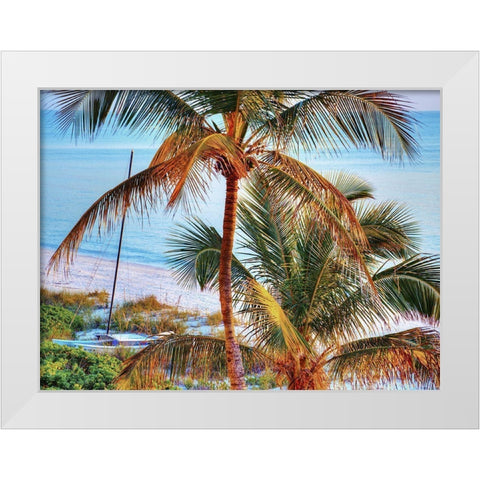 Colors of Florida White Modern Wood Framed Art Print by Reed, Jack