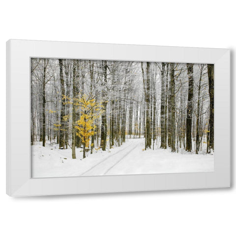 Mustard Tree White Modern Wood Framed Art Print by Ryan, Brooke T.