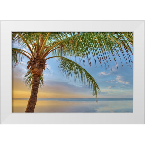 Key West White Modern Wood Framed Art Print by Reed, Jack