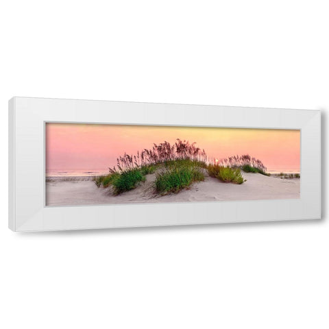 Sea Oats Sun White Modern Wood Framed Art Print by Reed, Jack