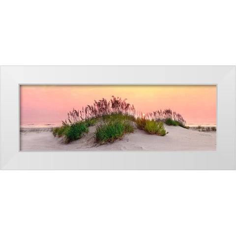 Sea Oats Sun White Modern Wood Framed Art Print by Reed, Jack
