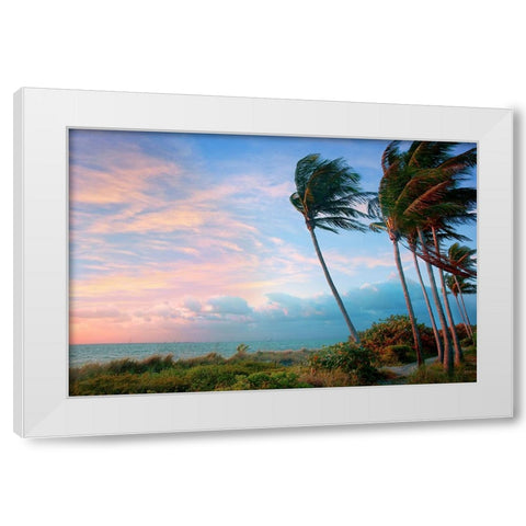 Seabreeze White Modern Wood Framed Art Print by Reed, Jack
