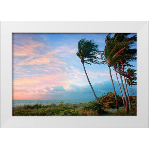 Seabreeze White Modern Wood Framed Art Print by Reed, Jack