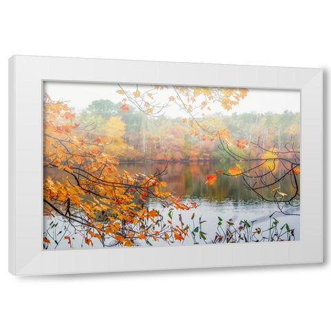 Autumn Pond White Modern Wood Framed Art Print by Ryan, Brooke T.
