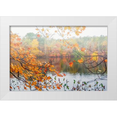Autumn Pond White Modern Wood Framed Art Print by Ryan, Brooke T.