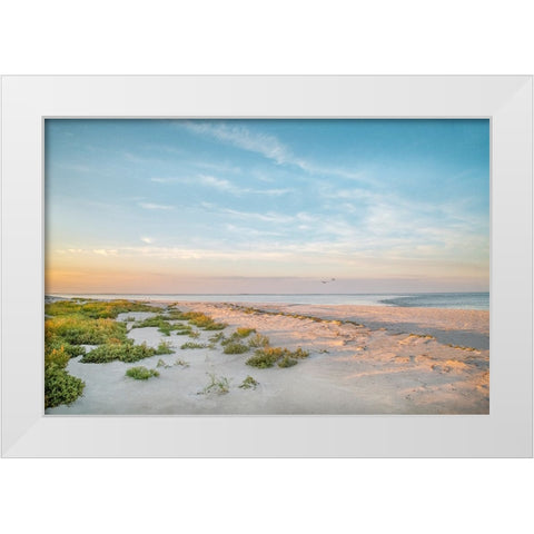 Morning Beach White Modern Wood Framed Art Print by Ryan, Brooke T.