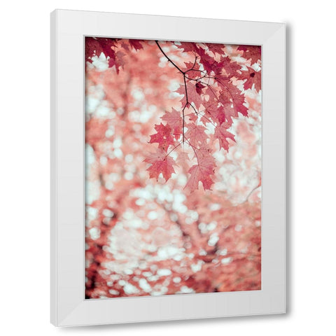 Pink and Coral Maple Leaves White Modern Wood Framed Art Print by Ryan, Brooke T.