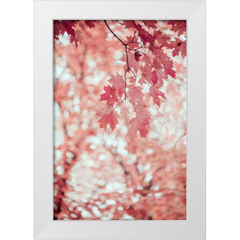 Pink and Coral Maple Leaves White Modern Wood Framed Art Print by Ryan, Brooke T.
