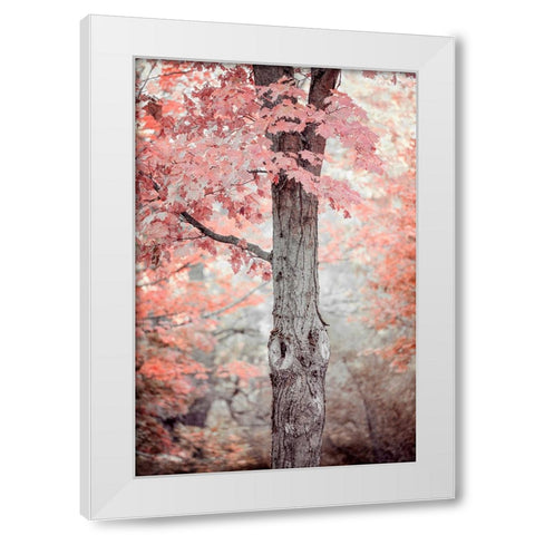 Pink and Coral Maple Tree White Modern Wood Framed Art Print by Ryan, Brooke T.