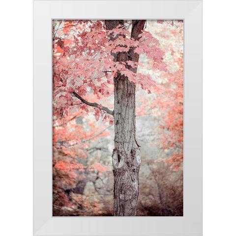 Pink and Coral Maple Tree White Modern Wood Framed Art Print by Ryan, Brooke T.