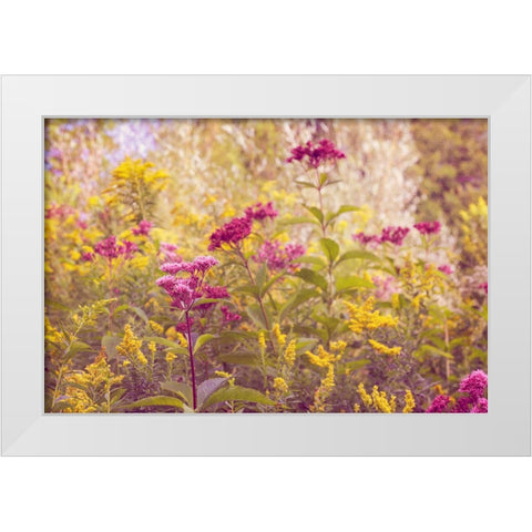 Plum and Mustard Wildflowers White Modern Wood Framed Art Print by Ryan, Brooke T.