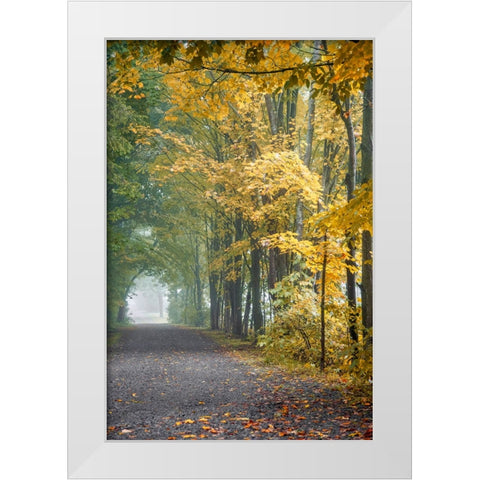 Tunnel Through Misty Forest White Modern Wood Framed Art Print by Ryan, Brooke T.