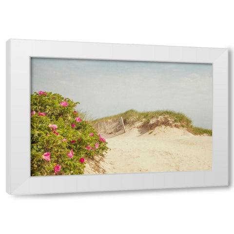 Rosa Rugosa White Modern Wood Framed Art Print by Ryan, Brooke T.