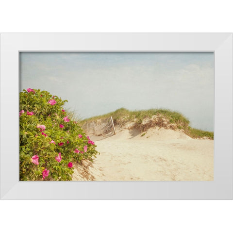 Rosa Rugosa White Modern Wood Framed Art Print by Ryan, Brooke T.