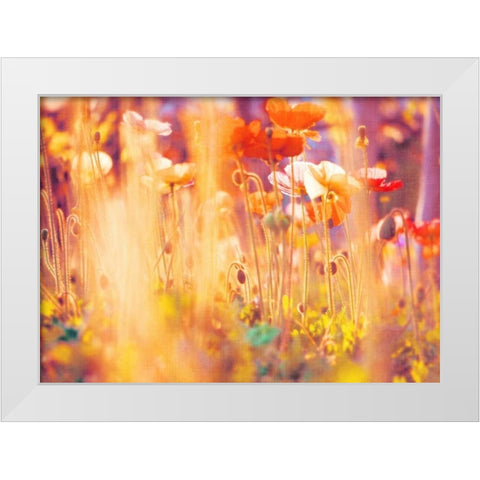 I Am Alice White Modern Wood Framed Art Print by Soffia, Myan