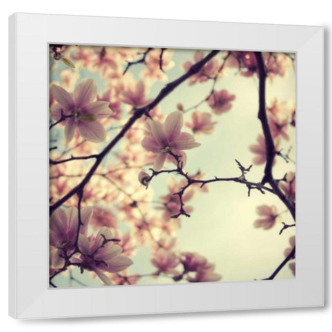 Pink Blossoms White Modern Wood Framed Art Print by Suchocki, Irene
