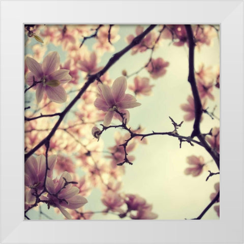 Pink Blossoms White Modern Wood Framed Art Print by Suchocki, Irene