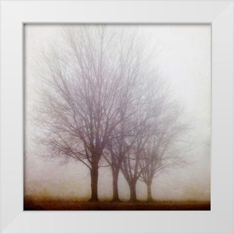 Standing Still White Modern Wood Framed Art Print by Suchocki, Irene