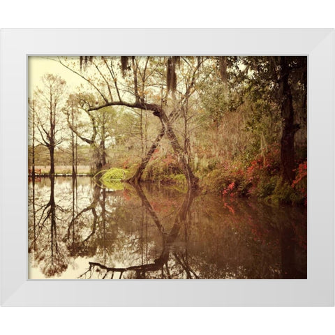 Deep South I White Modern Wood Framed Art Print by Suchocki, Irene