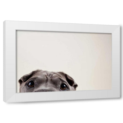 Peleis Eyes White Modern Wood Framed Art Print by Sabo, Susan