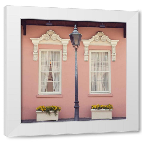 Southern Charm White Modern Wood Framed Art Print by Suchocki, Irene