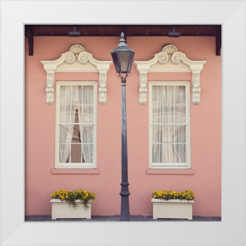 Southern Charm White Modern Wood Framed Art Print by Suchocki, Irene