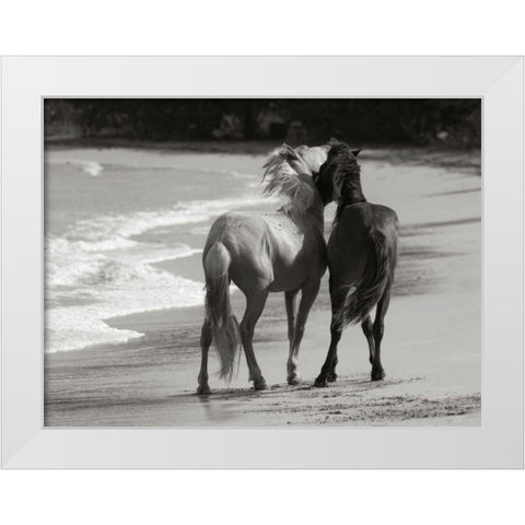 Young Mustangs on Beach White Modern Wood Framed Art Print by Scott, Traer