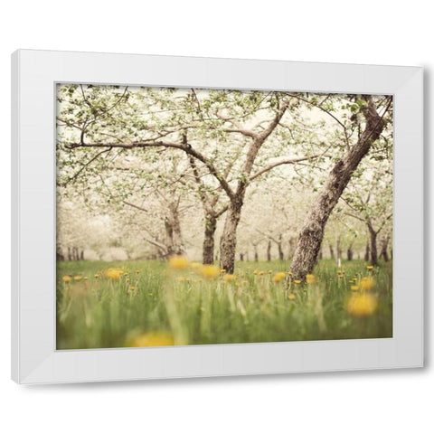 Quiet Orchard White Modern Wood Framed Art Print by Suchocki, Irene