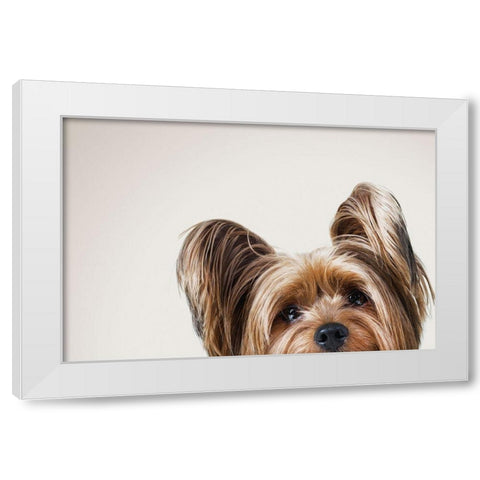 Jeri White Modern Wood Framed Art Print by Sabo, Susan