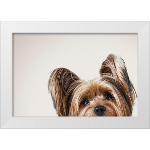 Jeri White Modern Wood Framed Art Print by Sabo, Susan