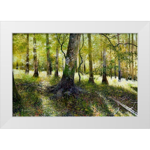 Little Econ River White Modern Wood Framed Art Print by Sullivan, Kent