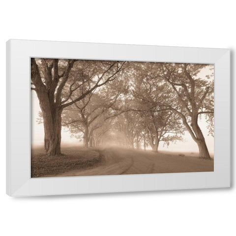 Guardians of the Road White Modern Wood Framed Art Print by Svibilsky, Igor