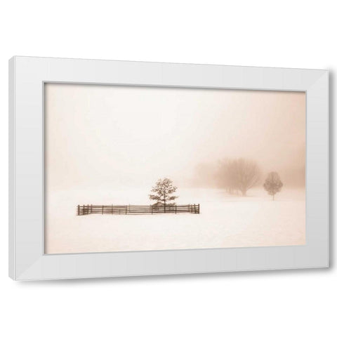 Isolated White Modern Wood Framed Art Print by Svibilsky, Igor