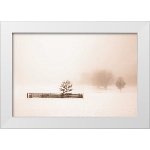 Isolated White Modern Wood Framed Art Print by Svibilsky, Igor