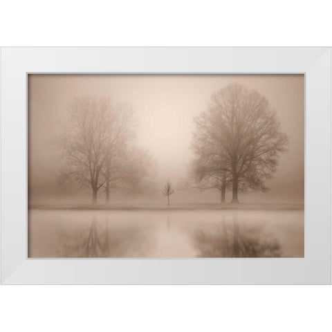 The Family White Modern Wood Framed Art Print by Svibilsky, Igor