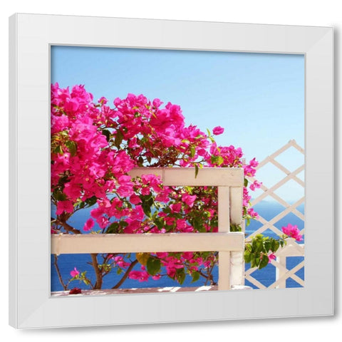 Santorini Blooms White Modern Wood Framed Art Print by Coomes, Sylvia